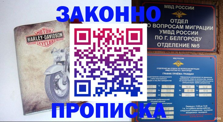 прописка для школы в Электроуглях